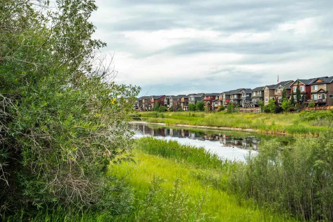 Cougar Ridge property and community context